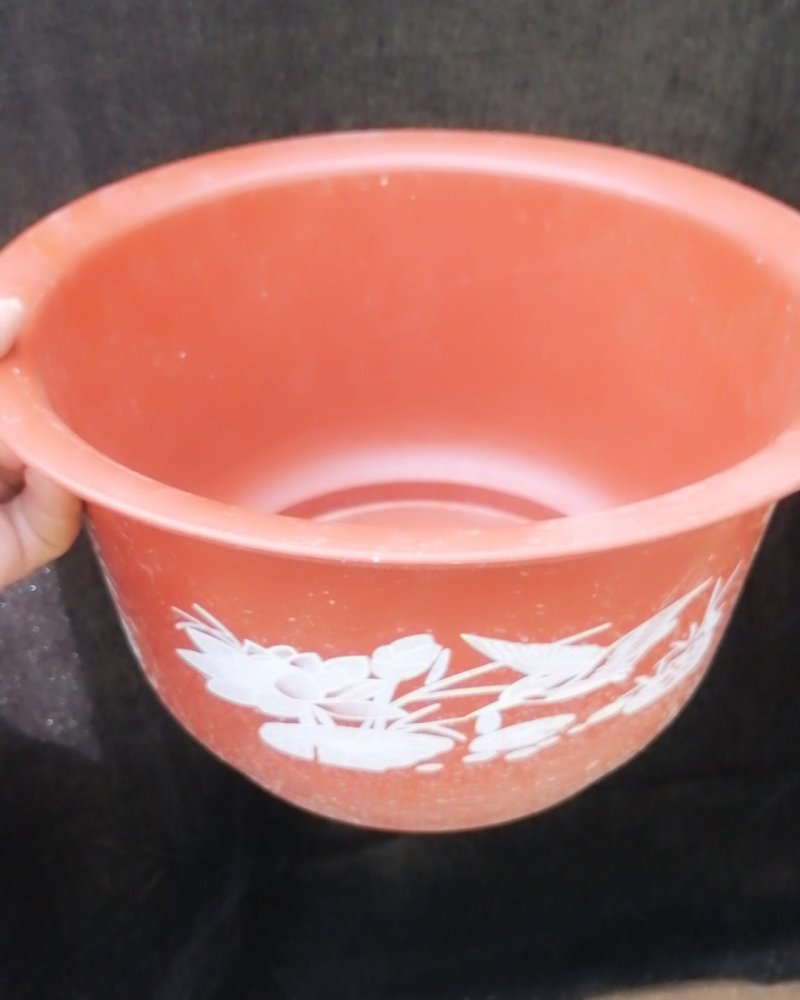 浅水莲藕种根苗，莲藕种苗盆栽荷花种根优惠
