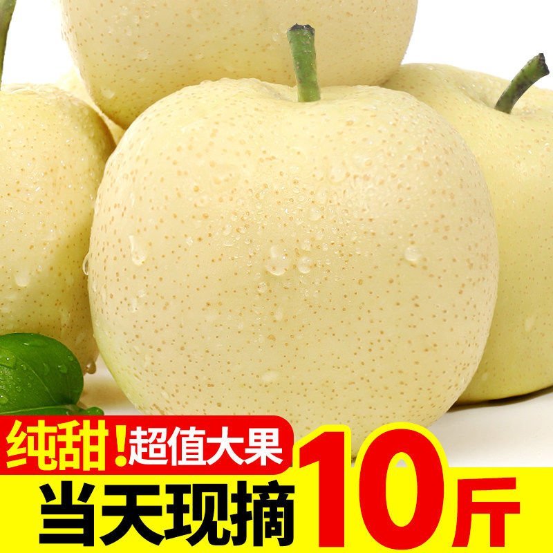 陕西蒲城酥梨5斤装10斤装包邮脆甜梨自家果园