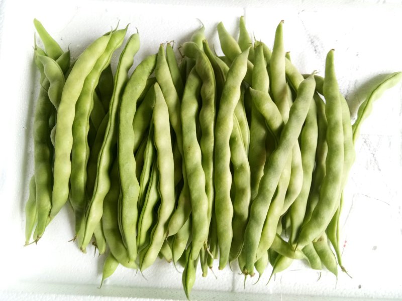 大青豆（新鲜大青豆现货）