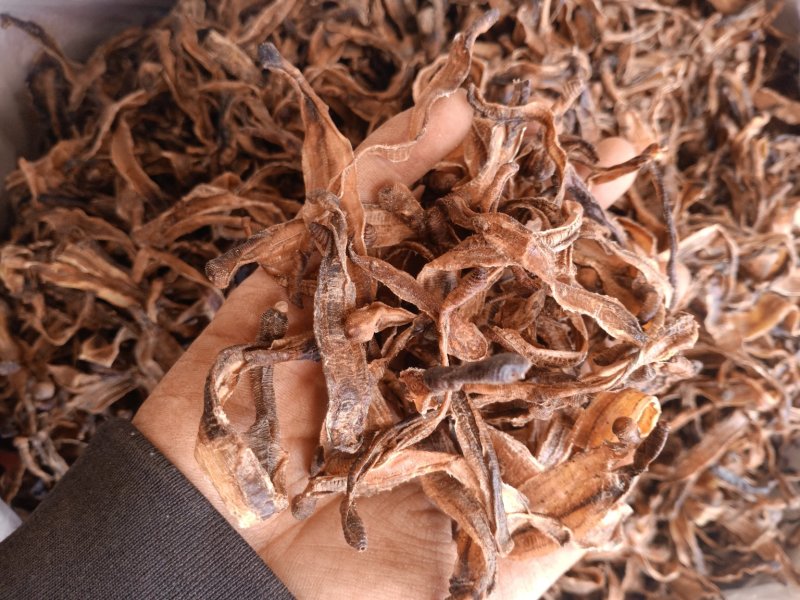 地龙蚯蚓干不收有现货半开切断都有各种规格广地龙