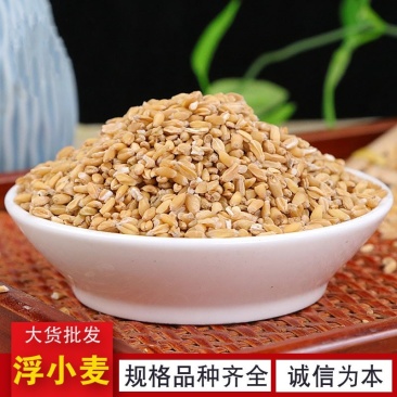 浮小麦无硫无杂质净货干瘪浮小麦产地直销品质保证