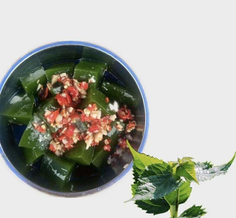 豆腐树苗豆腐柴树苗臭黄荆