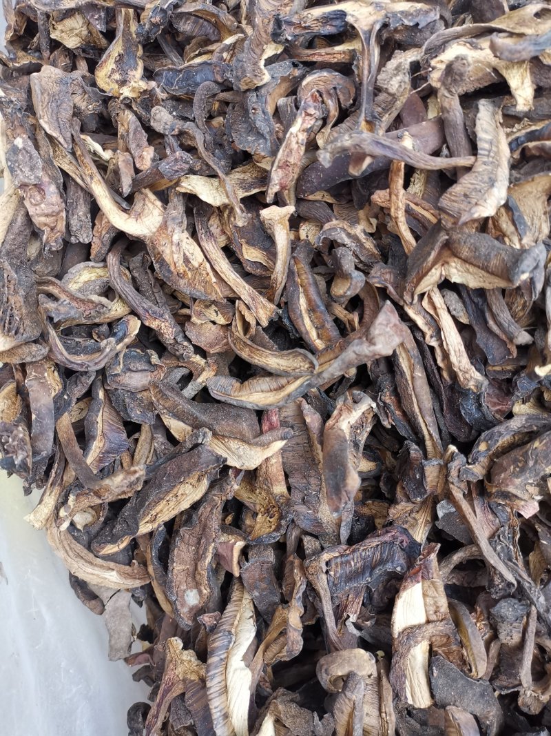 云南特产黑牛肝菌老家产地货源大量现货批发