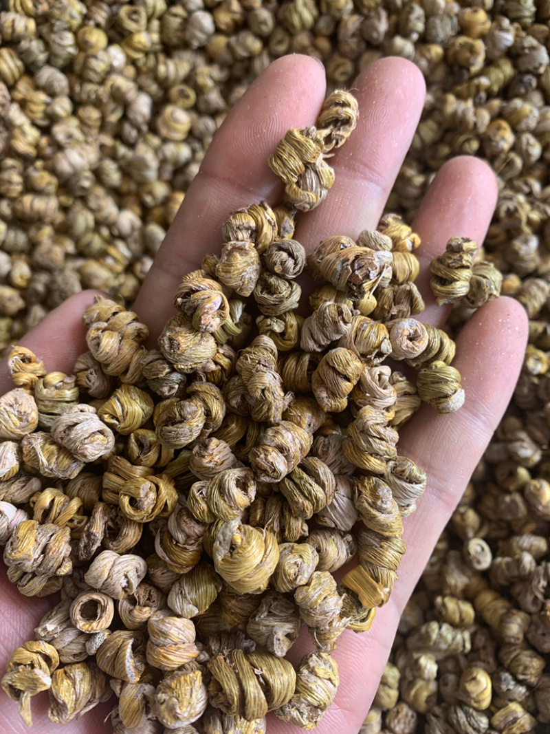 石斛霍山铁皮石斛胶多500克起批