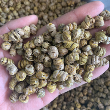石斛霍山铁皮石斛胶多500克起批