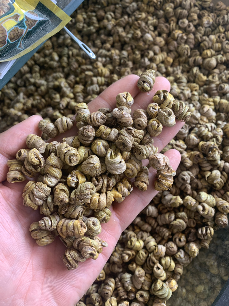 石斛霍山铁皮石斛胶多500克起批