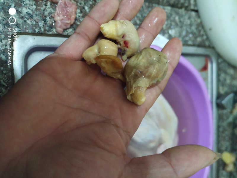 有没有人手鸡宝