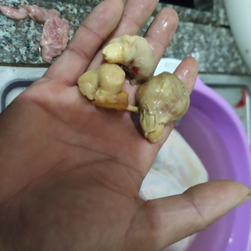 有没有人手鸡宝