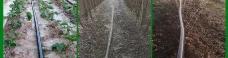 滴灌喷灌
