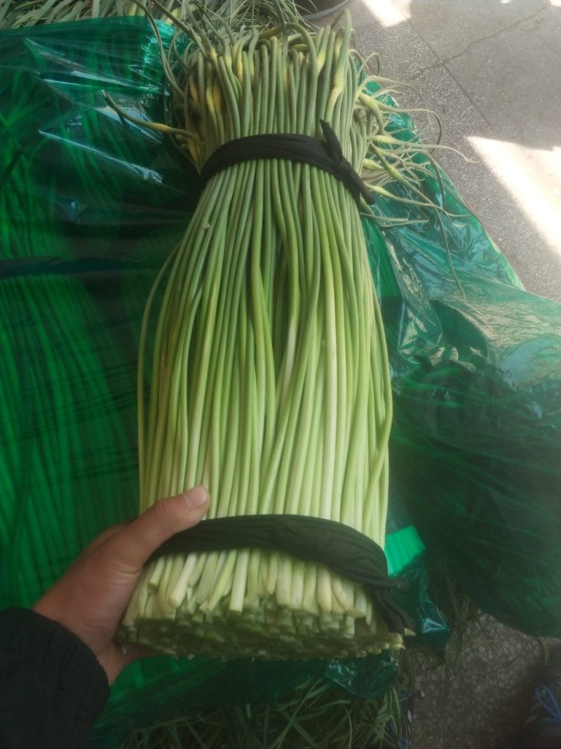 蒜薹