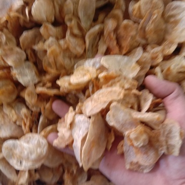 鱼鳔，常年批发供应各种规格鱼鳔中药材