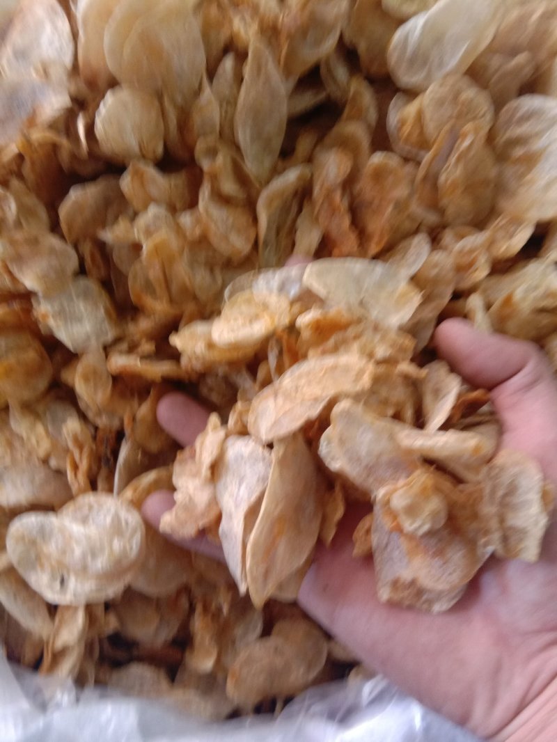 鱼鳔，常年批发供应各种规格鱼鳔中药材