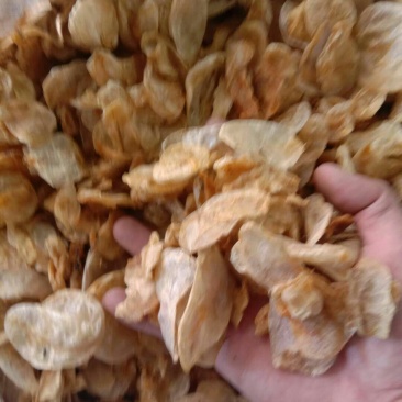 鱼鳔，常年批发供应各种规格冷背中药材，鱼鳔