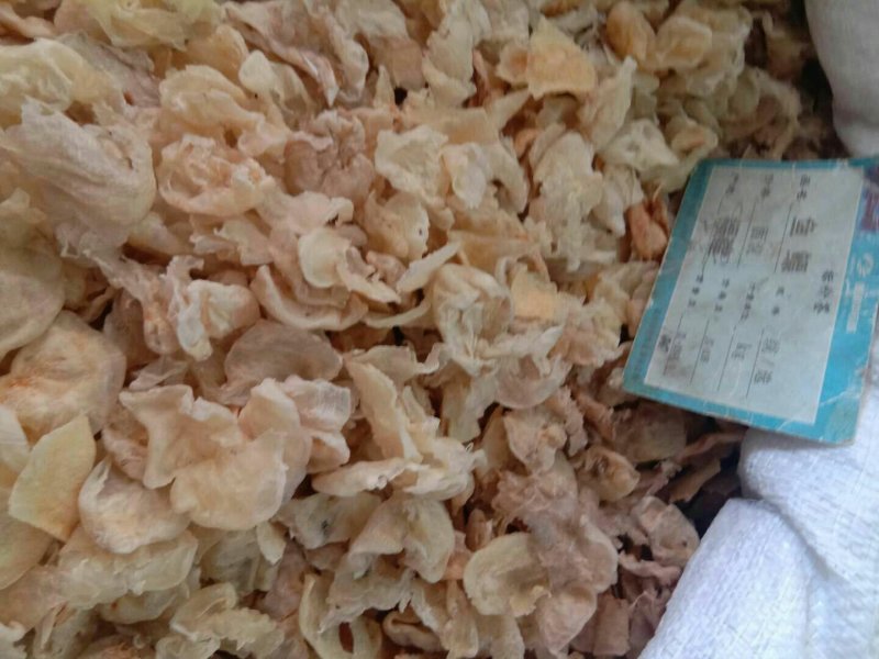 鱼鳔，常年批发供应各种规格冷背中药材，鱼鳔