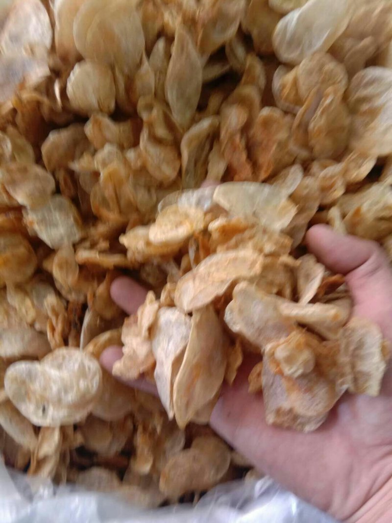 鱼鳔，常年批发供应各种规格冷背中药材，鱼鳔