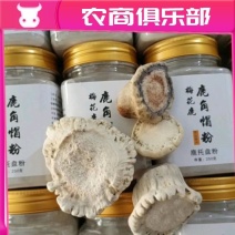 鹿角帽双阳鹿角粉磨粉梅花鹿鹿托盘250克一瓶包邮