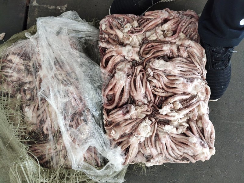 鱿鱼头原料处理北朝鱿鱼加工下来的