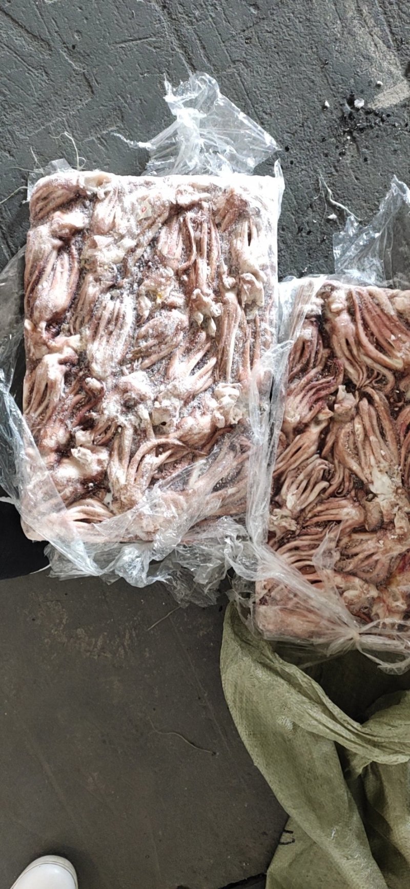 鱿鱼头原料处理北朝鱿鱼加工下来的