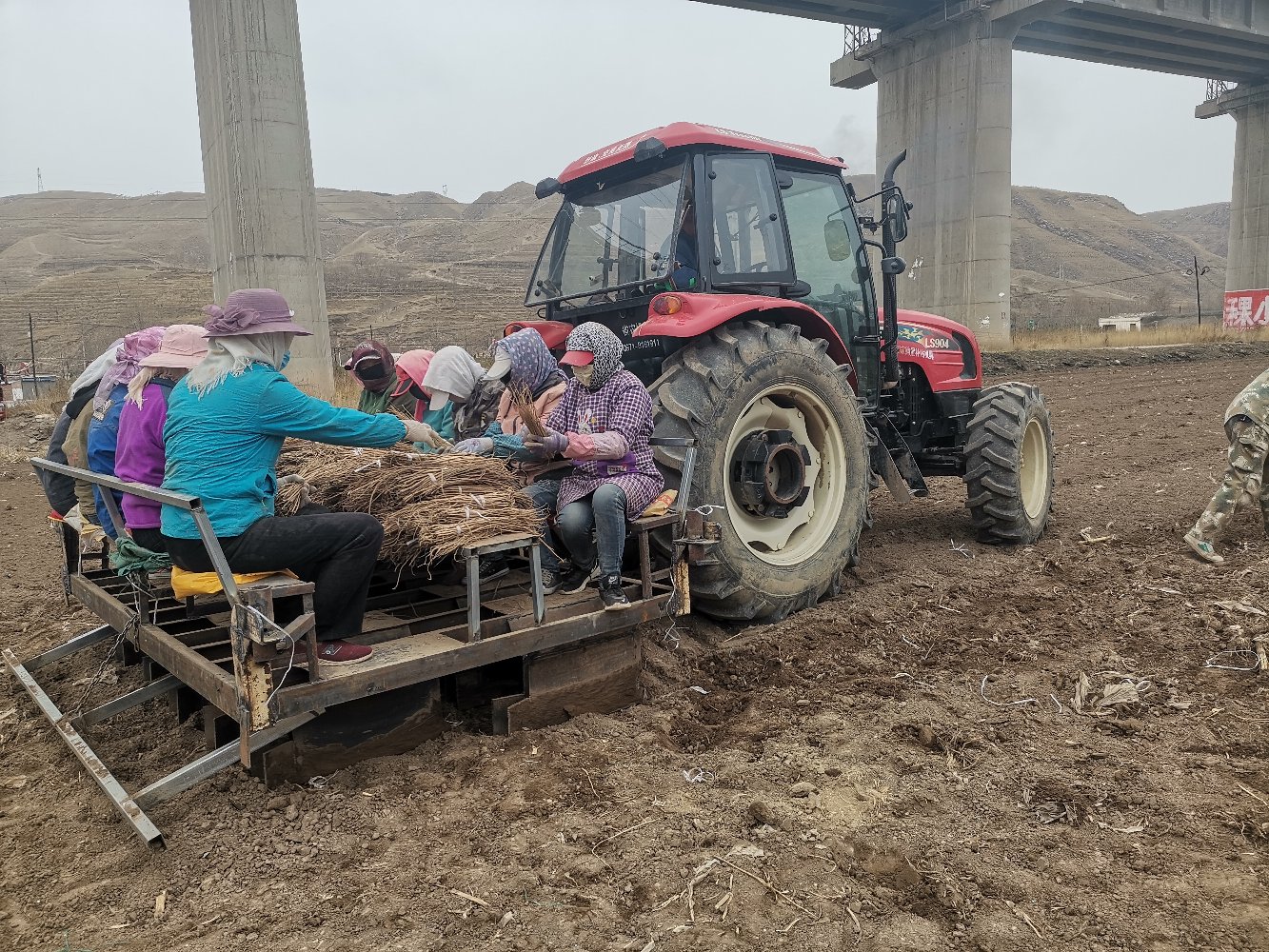展示现代化农机在田间播种大豆的场景,播种机精准作业,农民在一旁观察 大豆播种机械作业图