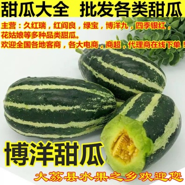 【博洋9号甜瓜】大量上市口感脆甜大荔县发货欢迎下单