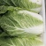 精品大白菜！毛菜六到八斤！质量好！价格合理！货源充足！