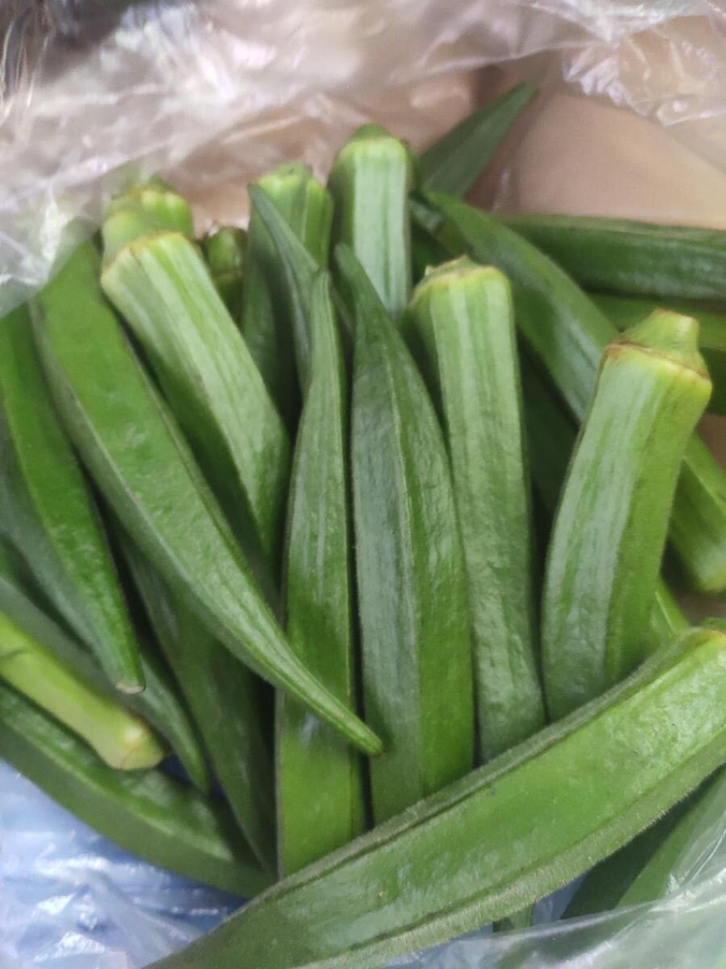 新鲜黄秋葵