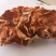 【量大价优】榆耳产地直销食用菌当季新货品种齐全