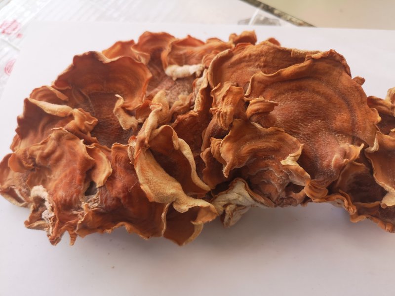 【量大价优】榆耳产地直销食用菌当季新货品种齐全