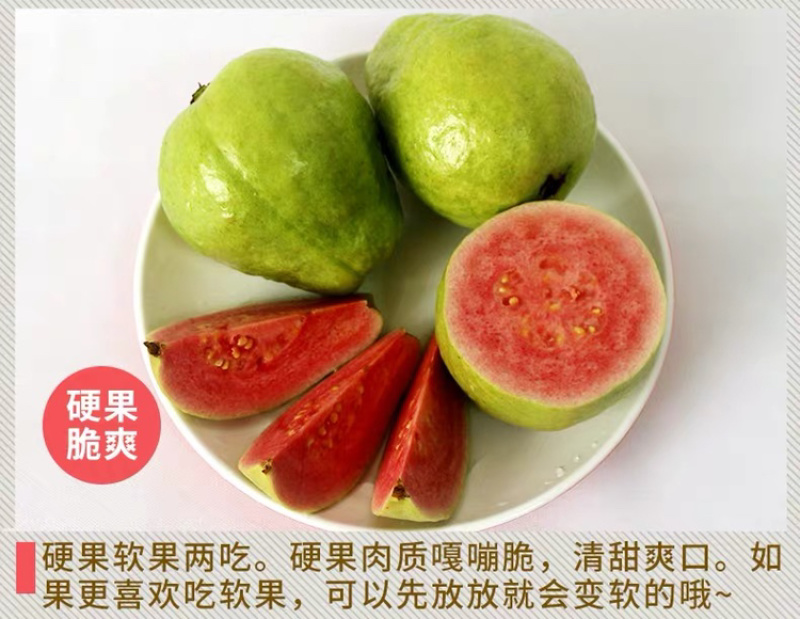 一件代发包邮福建漳州红心芭乐，坏果包赔