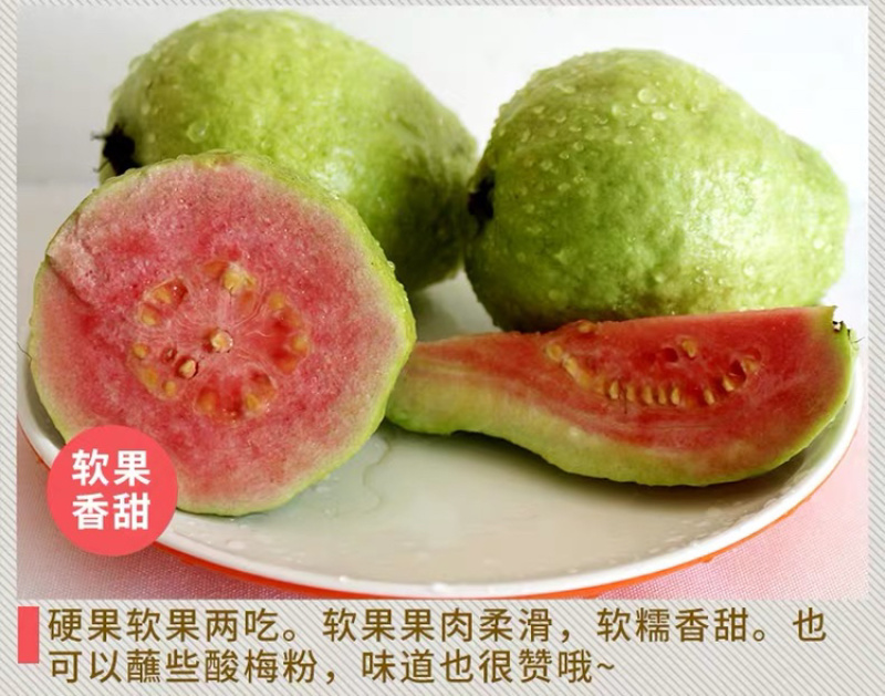 一件代发包邮福建漳州红心芭乐，坏果包赔