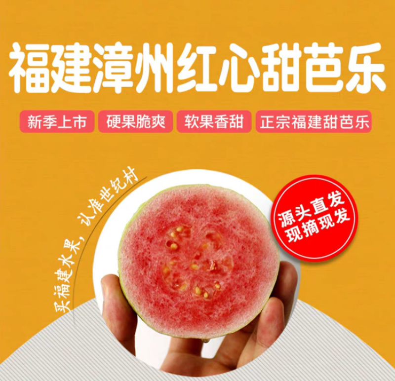 一件代发包邮福建漳州红心芭乐，坏果包赔