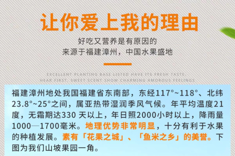 一件代发包邮福建漳州红心芭乐，坏果包赔