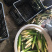 现摘农家茭白产地直销，新鲜