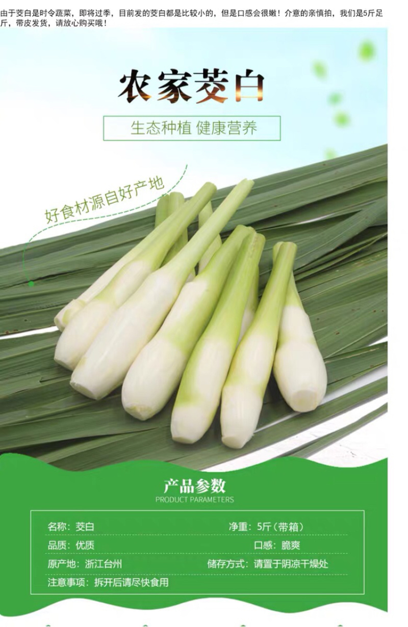 现摘农家茭白产地直销，新鲜