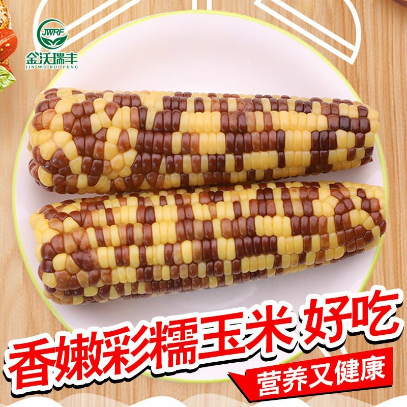 金沃瑞丰新鲜彩糯玉米棒真空独立包装非转基因五谷杂粗粮5