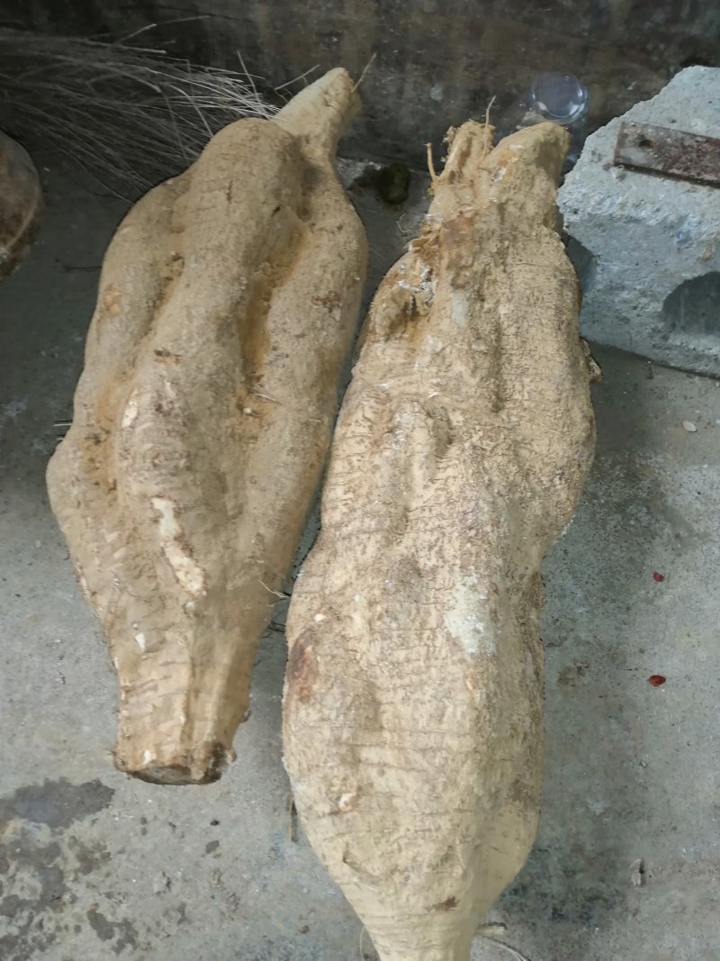 葛根丁