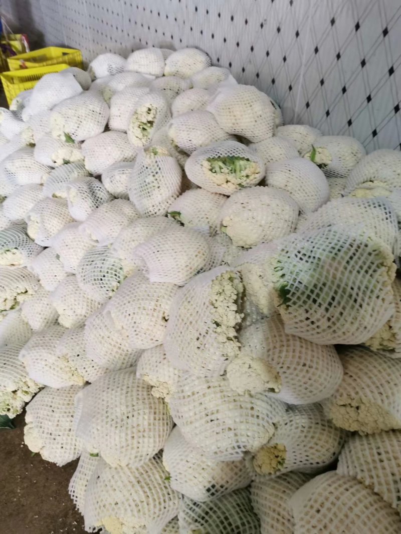 松花菜