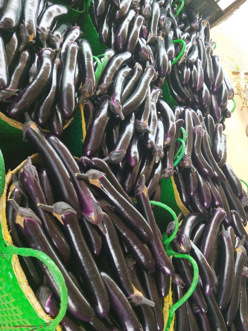 茄子，诚信，代购代卖