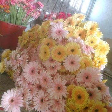 花
