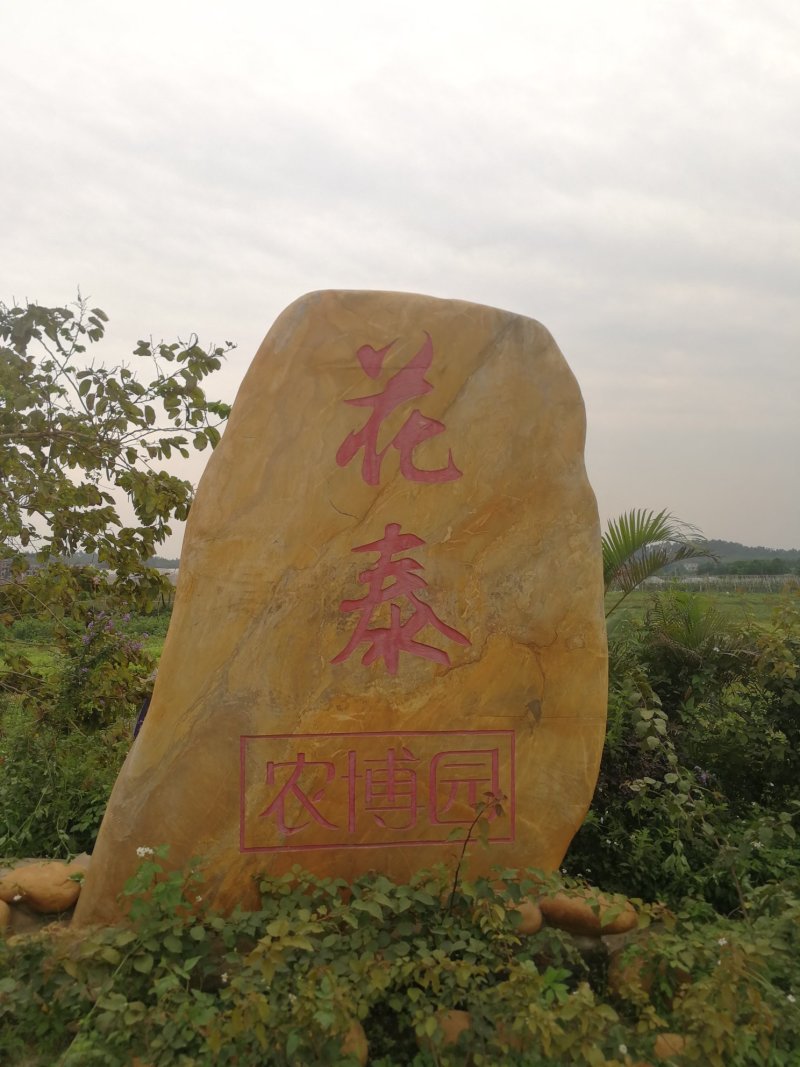 鲜鸭蛋