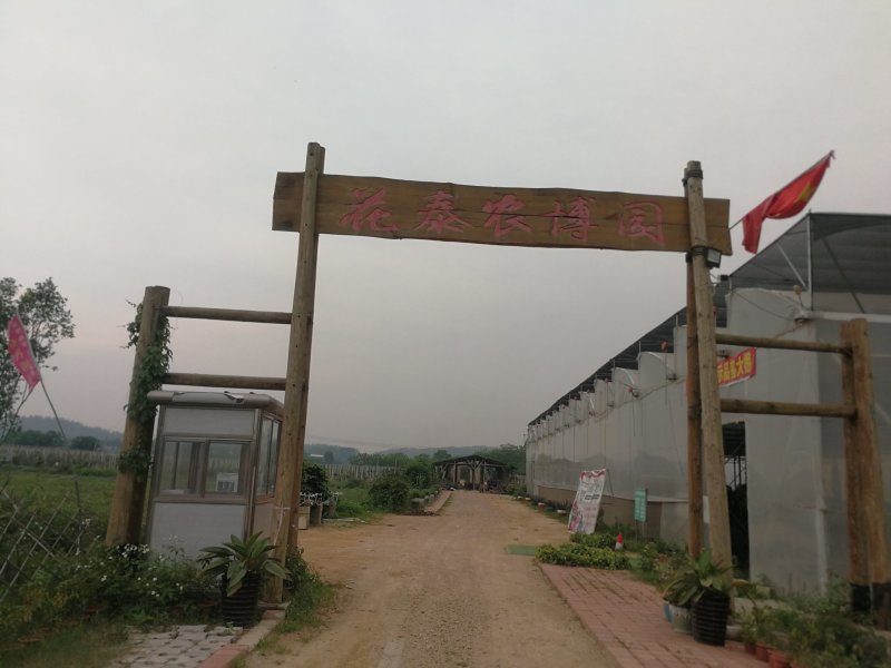 鲜鸭蛋