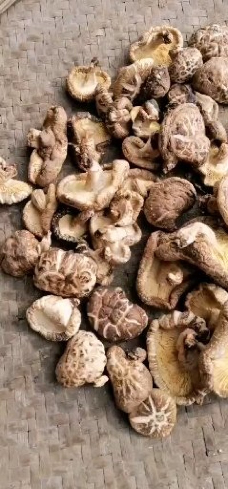 新货香菇无根香菇餐饮黄焖鸡香菇干货秋冬菇商用香菇2斤包邮