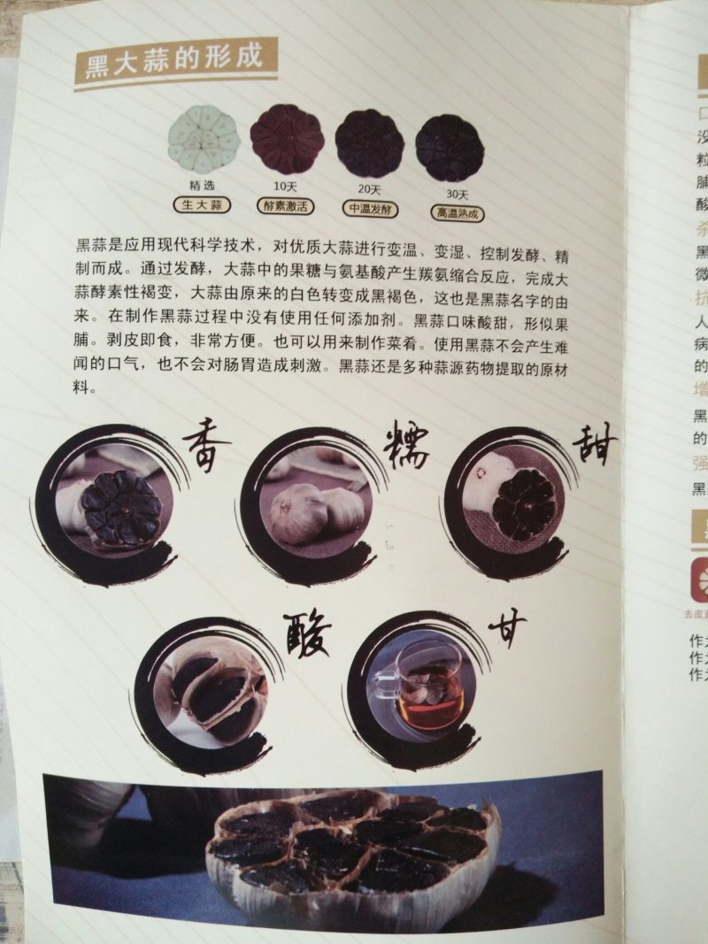黑蒜包运费