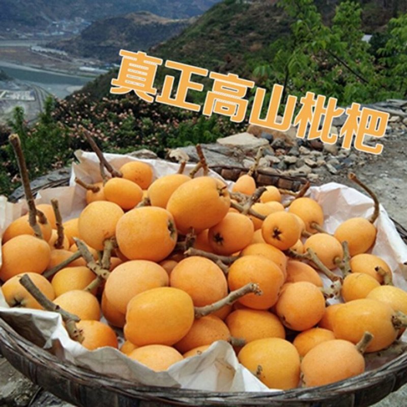 伦晚