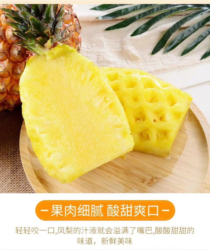 一件代发包邮台湾金钻凤梨，坏果包赔！！