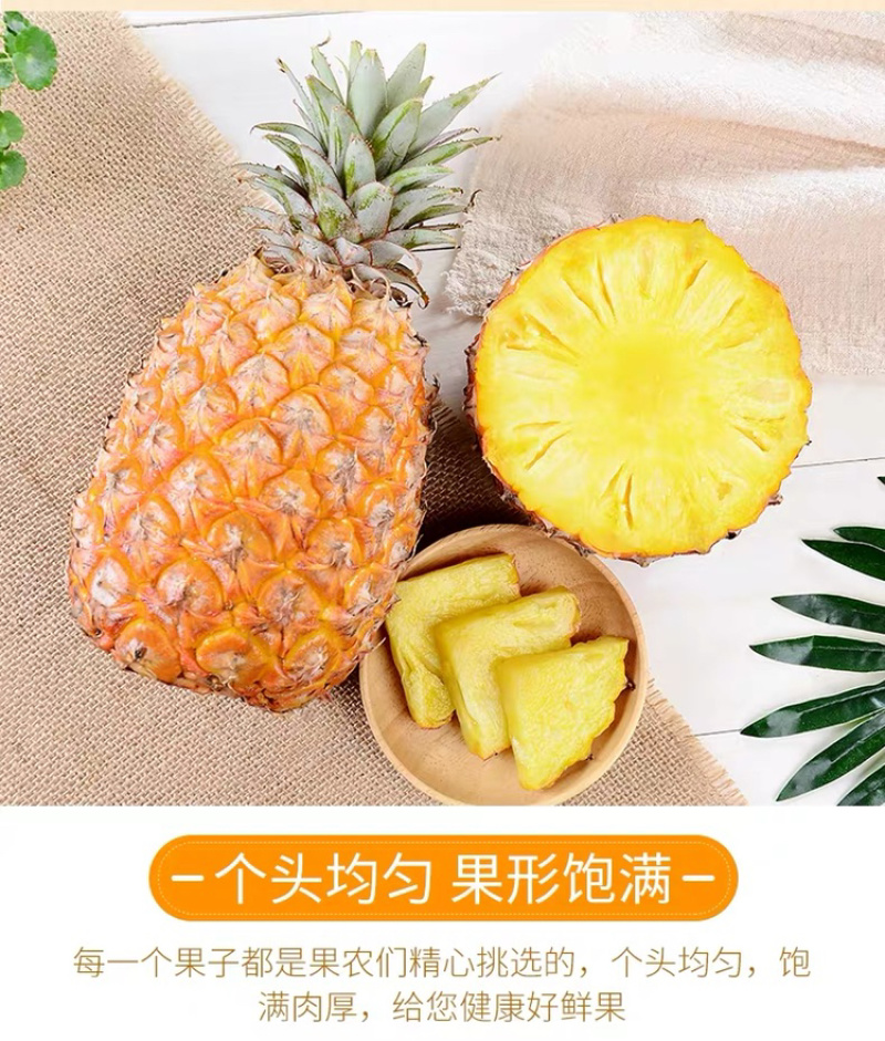 一件代发包邮台湾金钻凤梨，坏果包赔！！