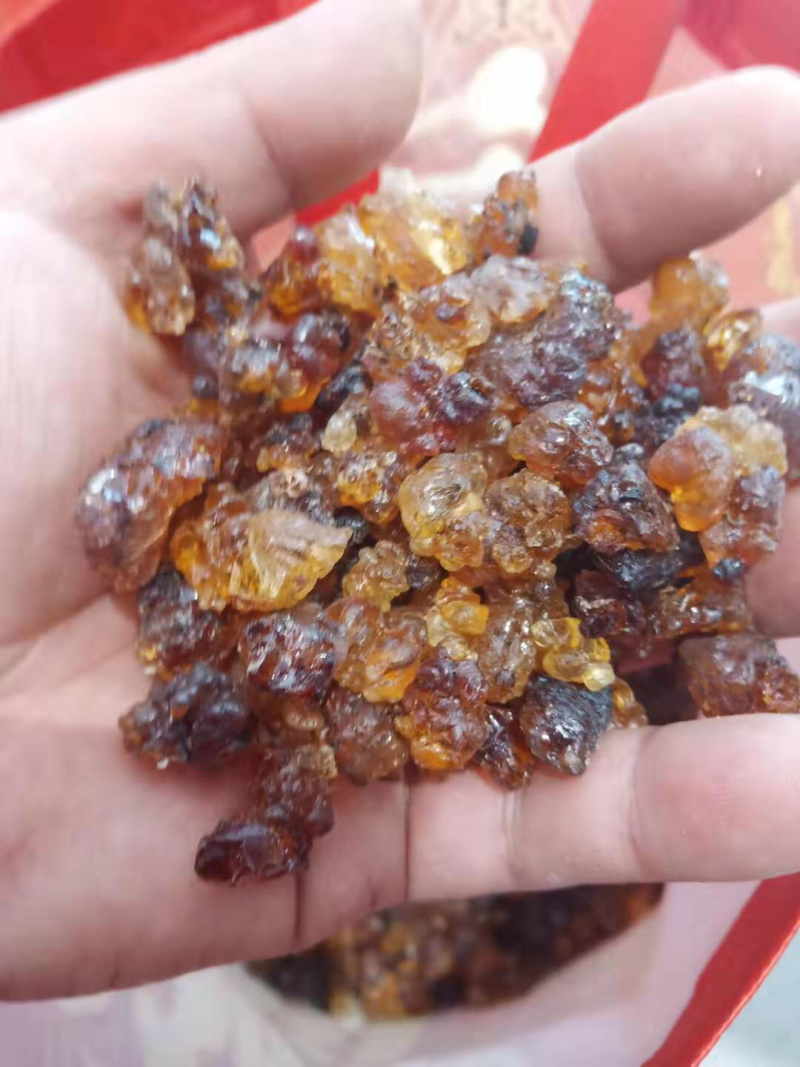 🔥🔥🔥优质桃胶残差少树上现摘一手货源