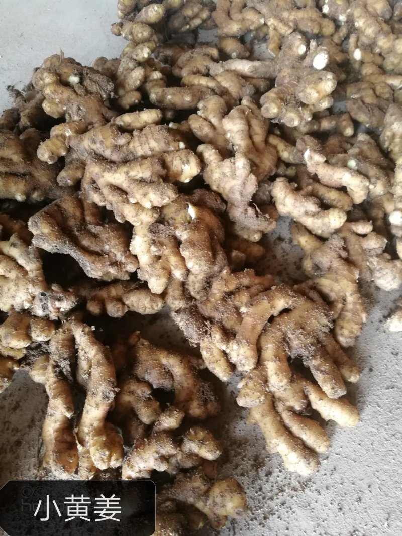 山东生姜，大黄姜，小黄姜，一手货源，全国发货，保质保量