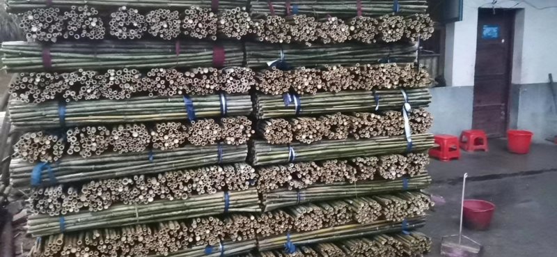 菜架竹架菜竹小竹杆山药竹架竿黄瓜西红柿架杆