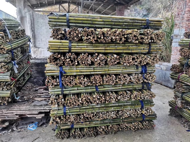 菜架竹架菜竹小竹杆山药竹架竿黄瓜西红柿架杆